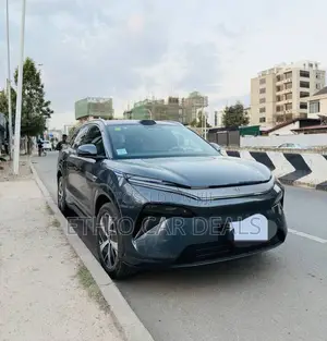 BYD Tang DM-i 2025 Blue