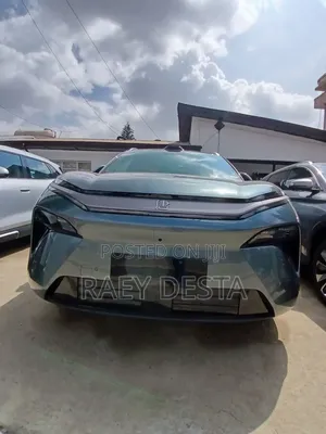 Photo - New BYD Tang EV 2025 Blue