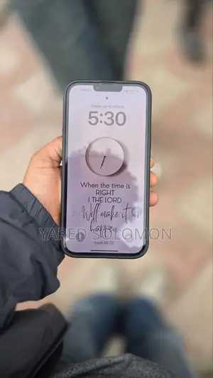 Apple iPhone 13 Pro Max 512 GB Gray