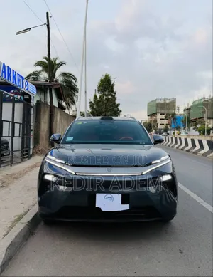 Photo - BYD Tang EV 2025 Gray