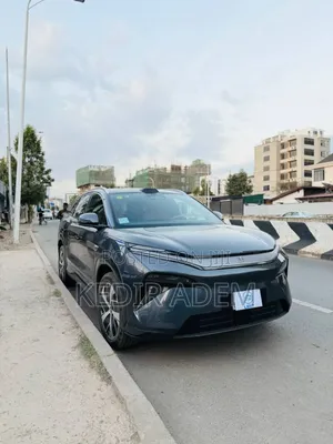BYD Tang EV 2025 Gray