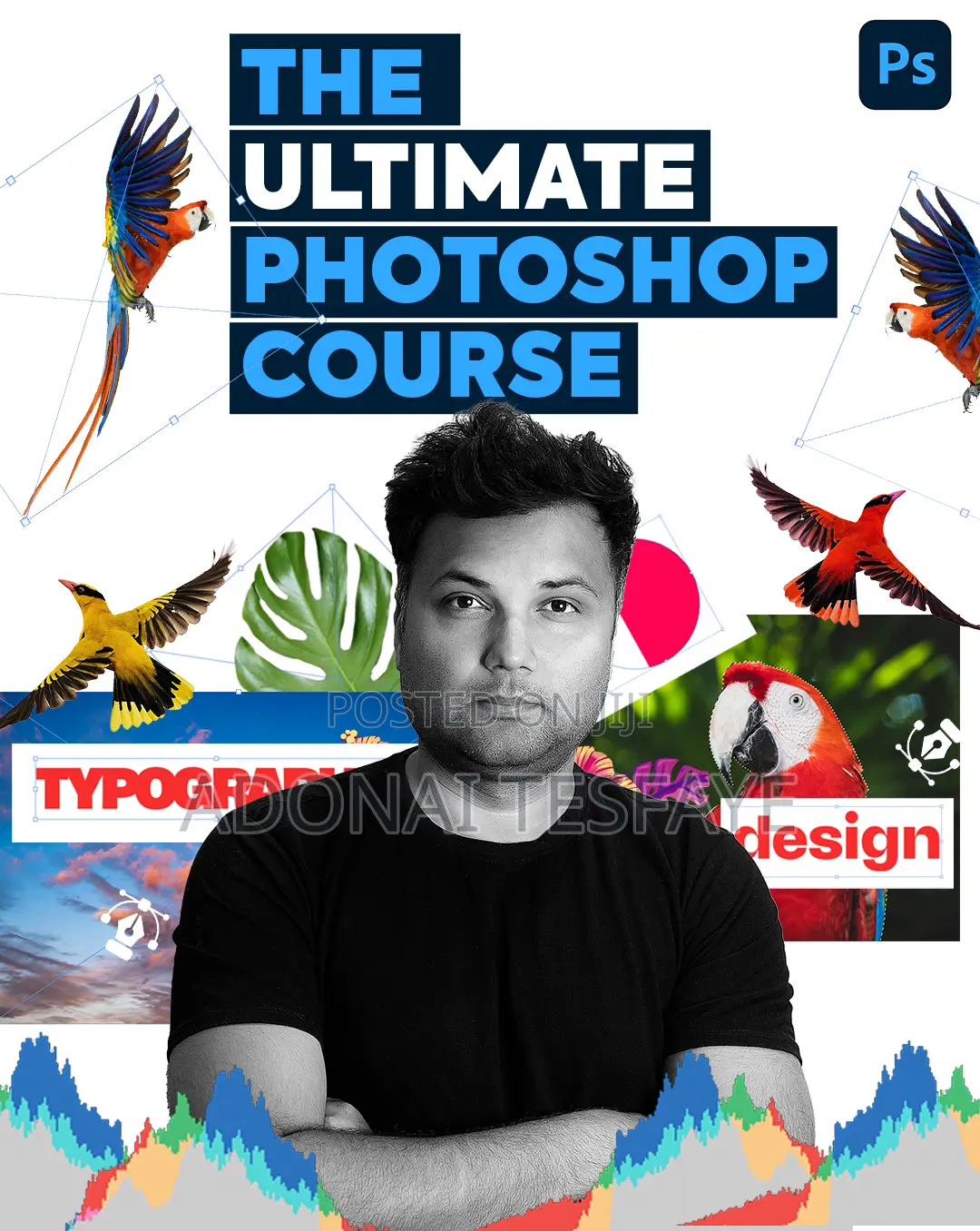 Adobe Photoshop Cc: Beginner to Advanced Course