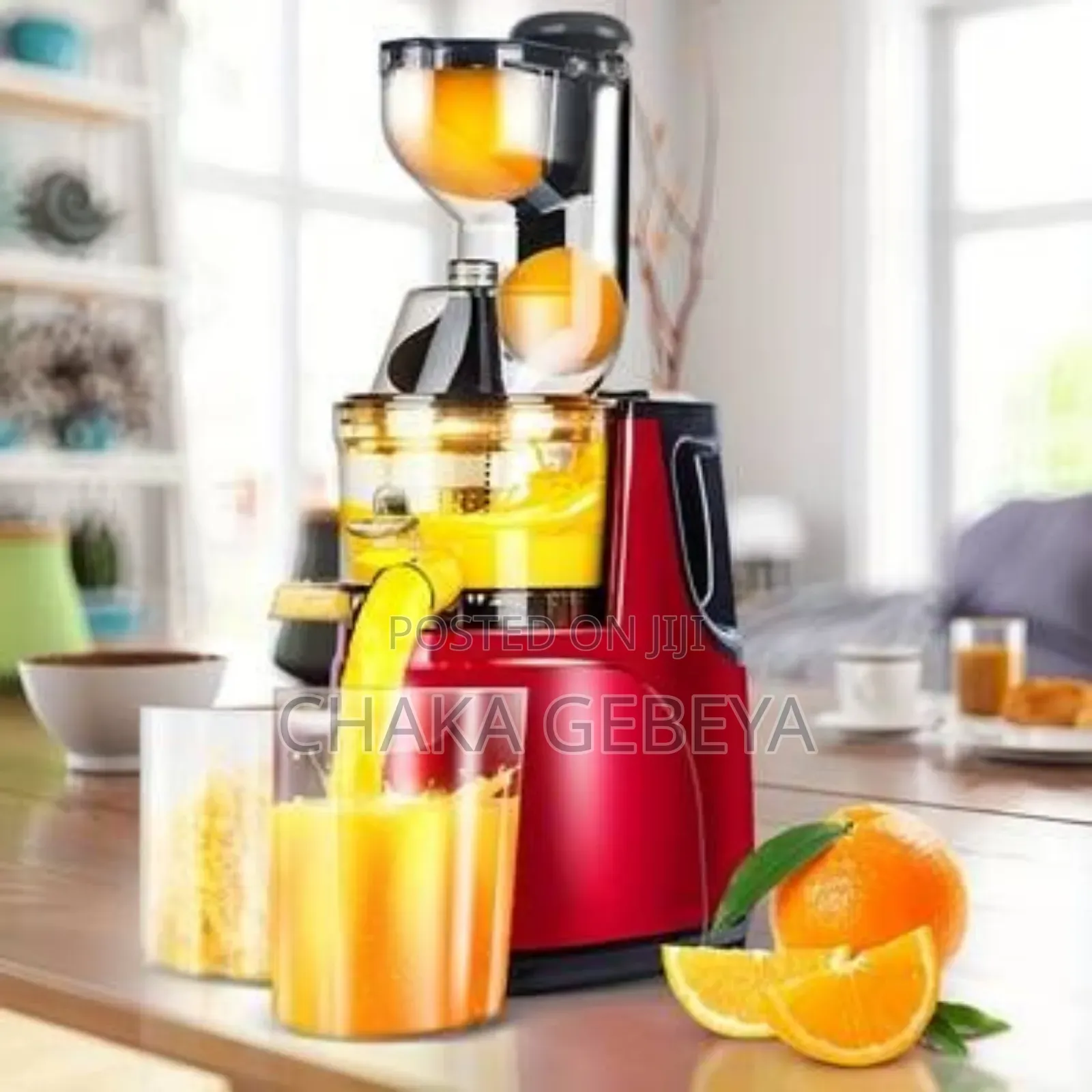 Professional Fruit Juicer - High Efficiency - Easy to Use Clean