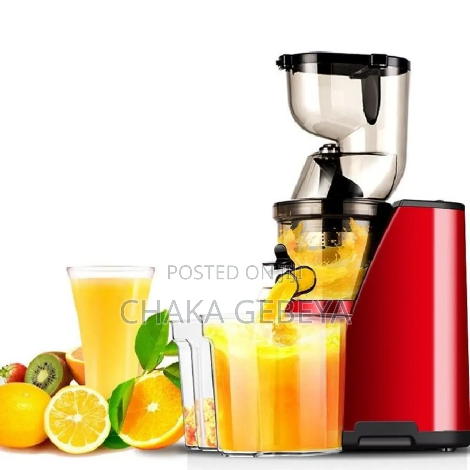 Professional Fruit Juicer - High Efficiency - Easy to Use Clean