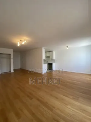 Photo - Furnished 2bdrm Apartment in ጃንቦ, Lideta for sale