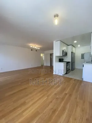 Furnished 2bdrm Apartment in ጃንቦ, Lideta for sale