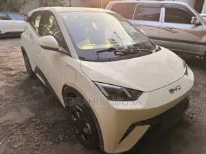 Photo - New BYD Seagull 2025 Ivory