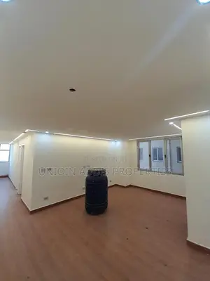 2bdrm Condo in Bole for rent