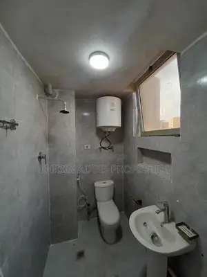 2bdrm Condo in Bole for rent