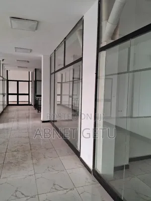 ዛሬ ተረክበው ስራ የሚጀምሩበት