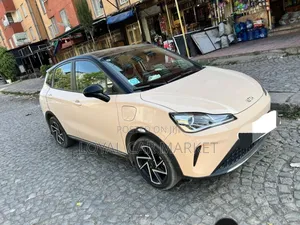 Hozon Neta Aya 2024 Beige