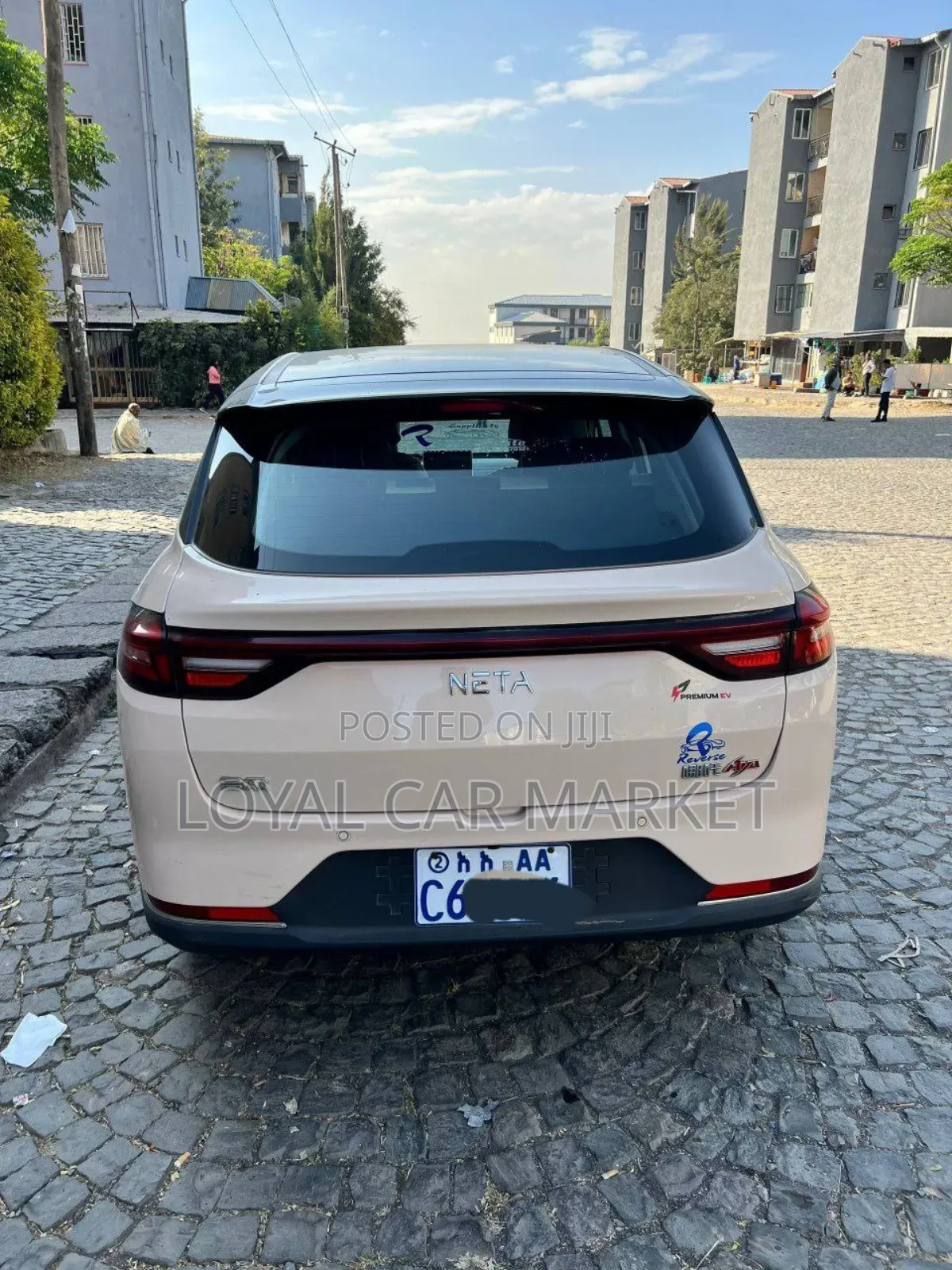 Hozon Neta Aya 2024 Beige