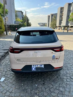 Hozon Neta Aya 2024 Beige