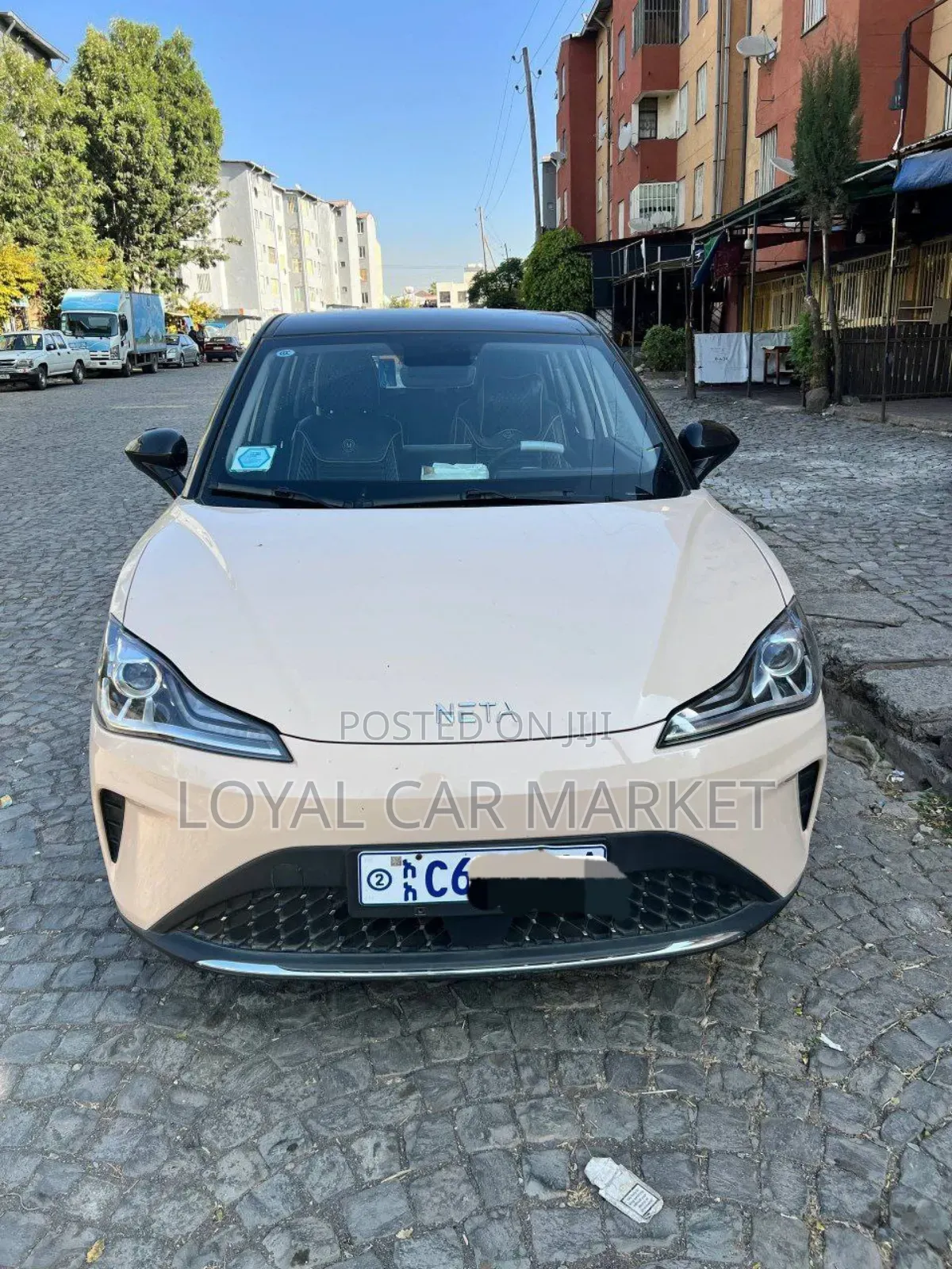 Hozon Neta Aya 2024 Beige