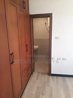2bdrm Apartment in Mekaele Africa, Nifas Silk-Lafto for rent