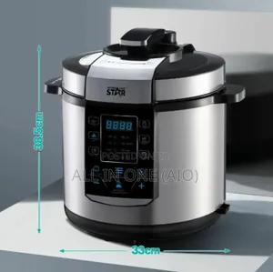 Winning Star 1000w 6l Multifunction Electric Pressure Cooker- St-9303