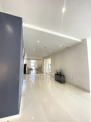 የንግድ ሱቅ እና ቢሮ የቢዝነስ ሞል