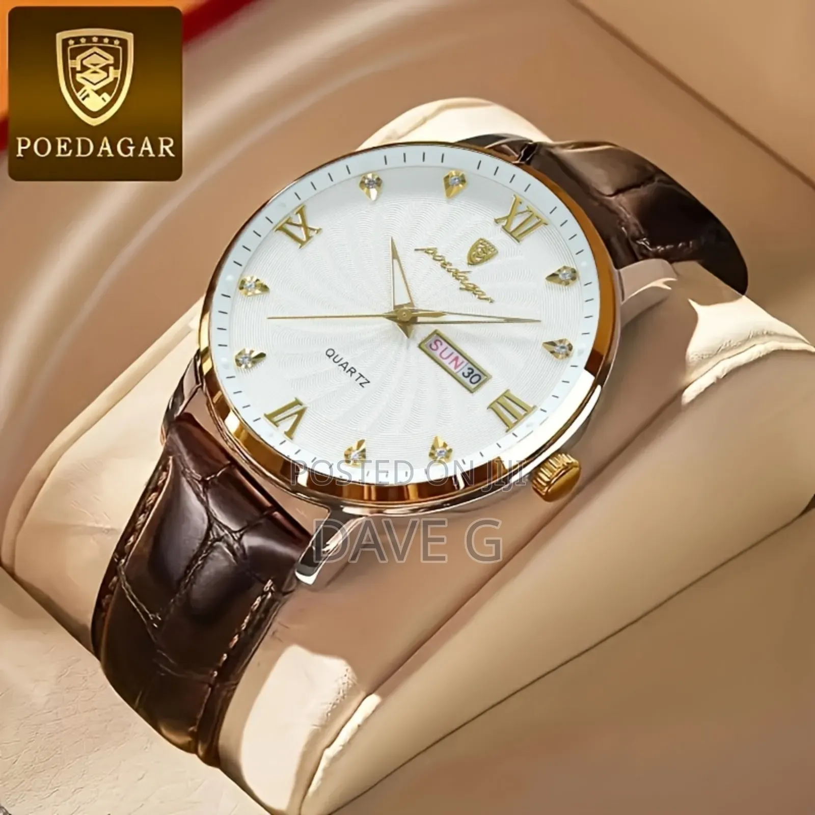Poedagar Original Luxury Wristwatch for Men Waterproof Watch