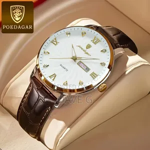 Poedagar Original Luxury Wristwatch for Men Waterproof Watch