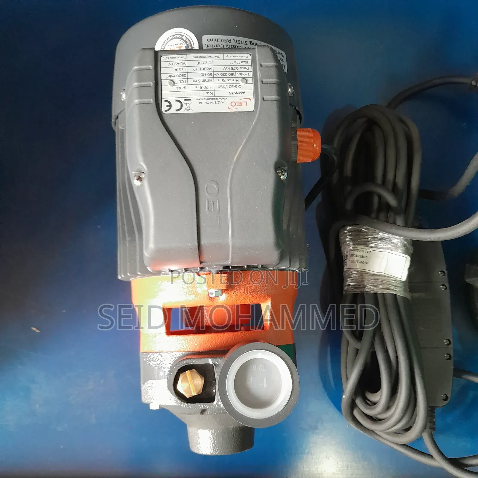 1hp Leo Peripheral Pump