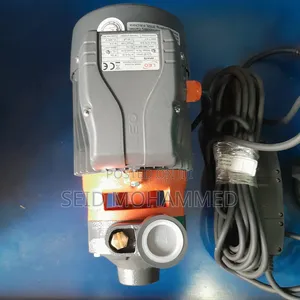 1hp Leo Peripheral Pump