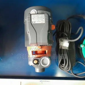 1hp Leo Peripheral Pump