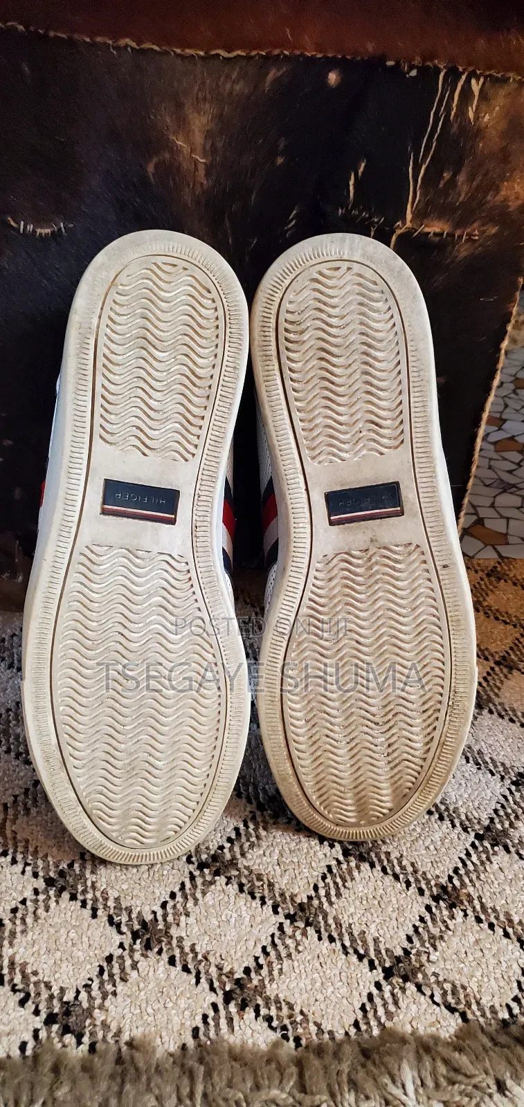 Male Hilfiger Shoes