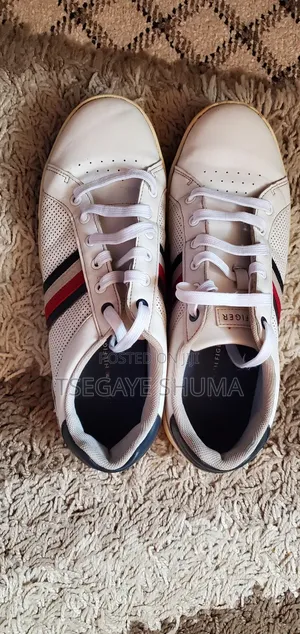 Male Hilfiger Shoes