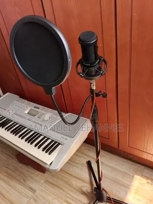 Audio Technica At2020 Studio Microphone