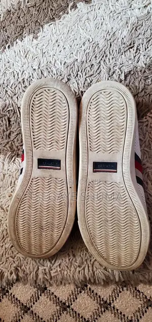 Male Hilfiger Shoes
