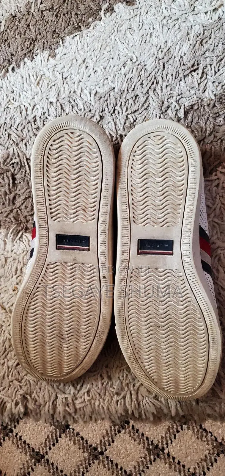 Male Hilfiger Shoes