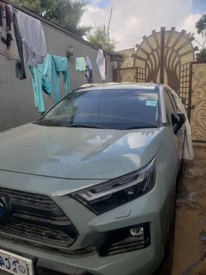 Photo - Toyota RAV4 2024 Green