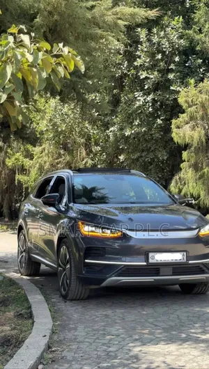 New BYD Tang EV 2024 Gray