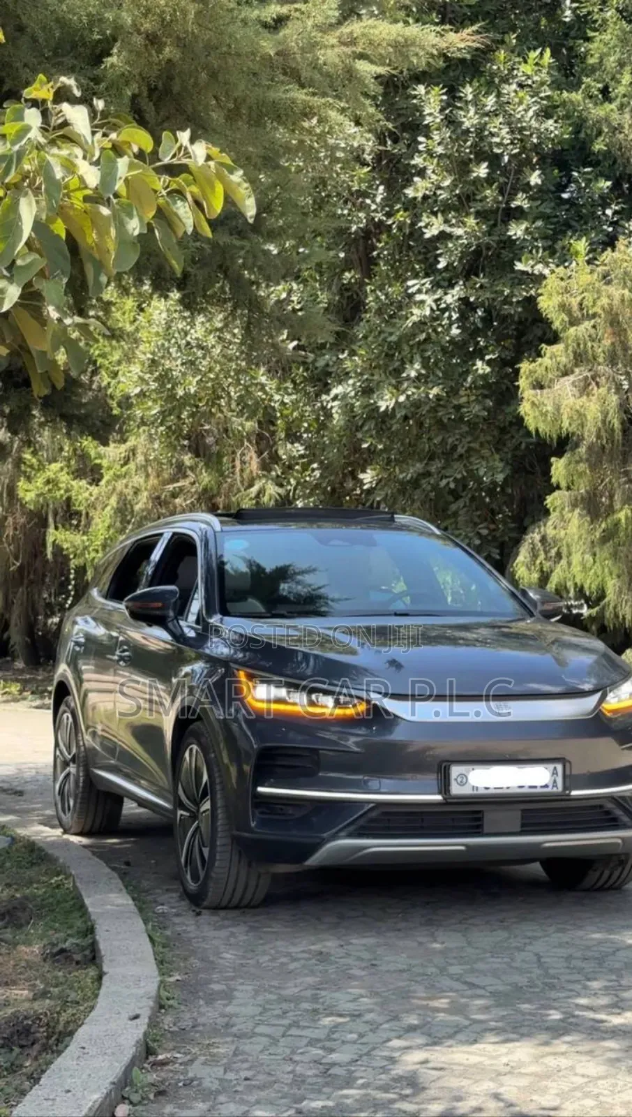 New BYD Tang EV 2024 Gray