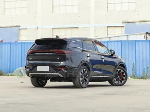 New BYD Tang EV 2024 Gray