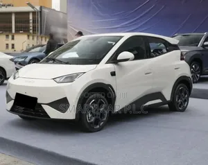 Photo - New BYD Seagull 2025 White