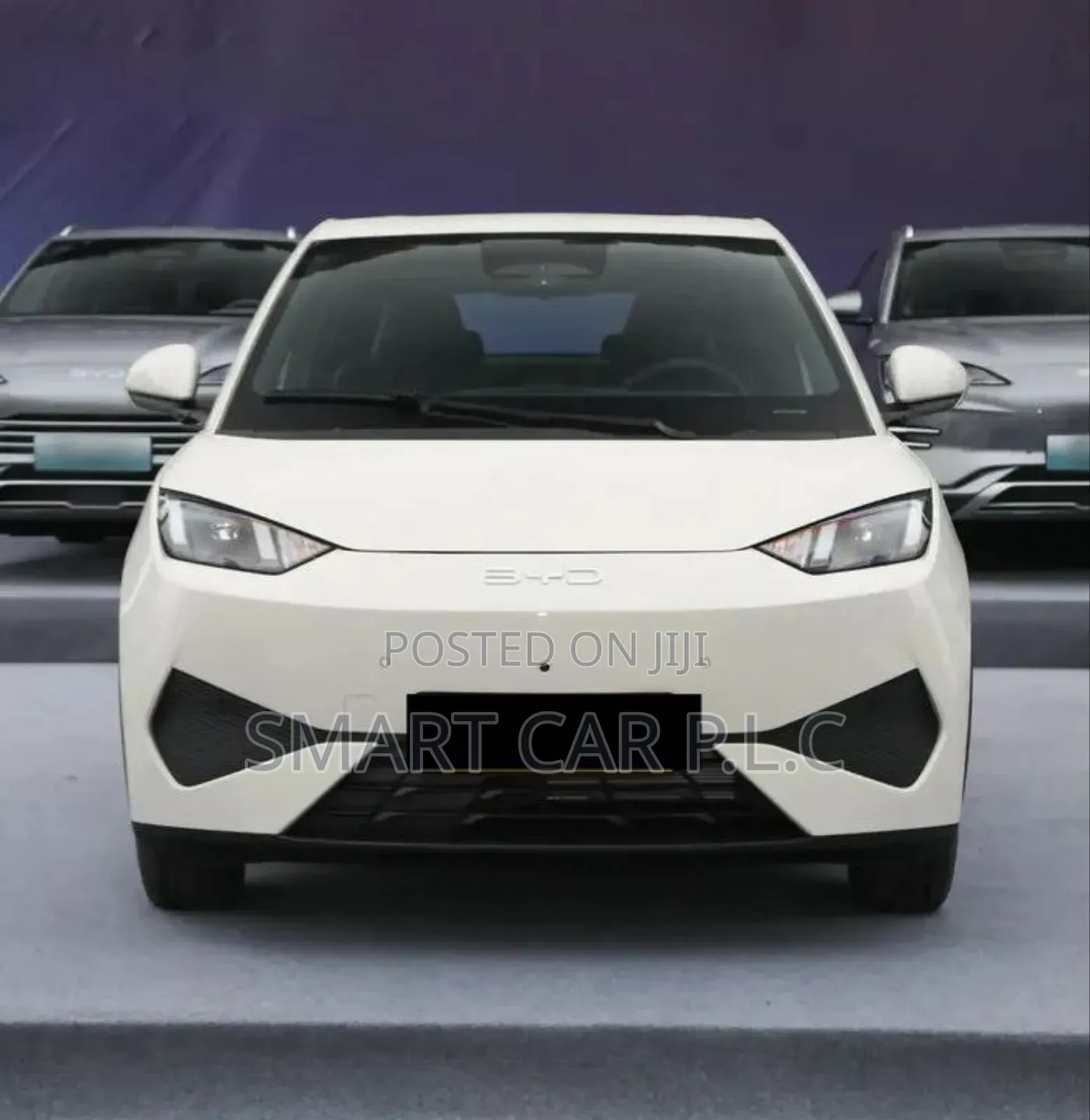 New BYD Seagull 2025 White