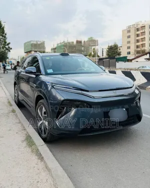 BYD Tang EV 2024 Gray
