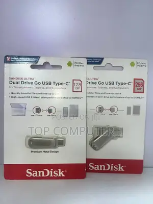 256sanisk Flash