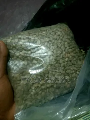 ንፁ ደረጃውን የጠበቀ የጅማ ቡና