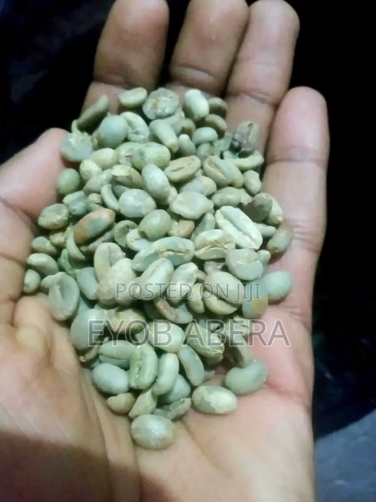 ንፁ ደረጃውን የጠበቀ የጅማ ቡና