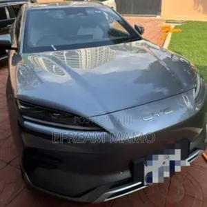 Photo - BYD Song Plus 2024 Gray