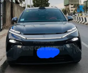 Photo - BYD Tang EV 2025 Gray