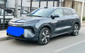 BYD Tang EV 2025 Gray