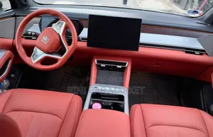 BYD Tang EV 2025 Gray