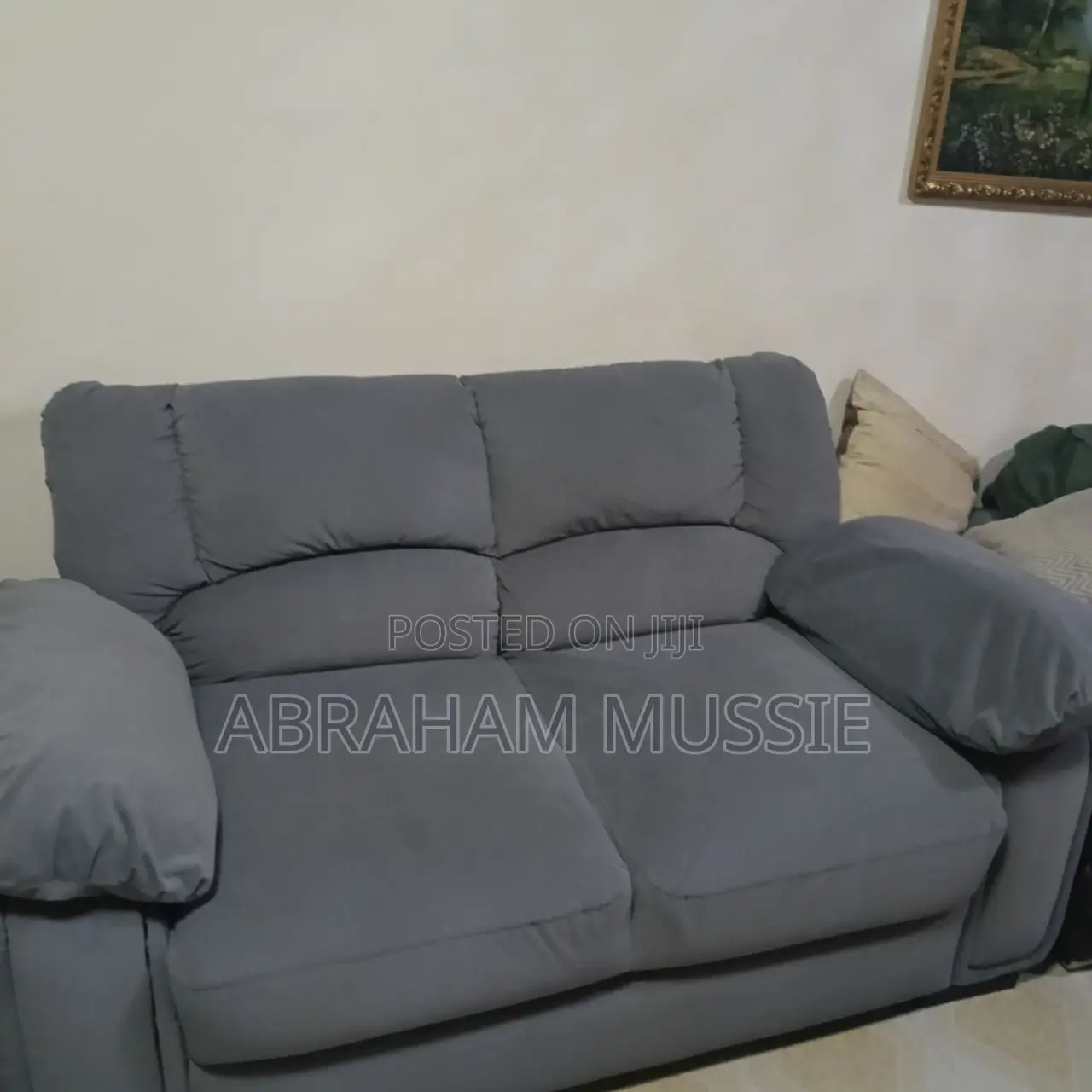 Blue Color Sofa