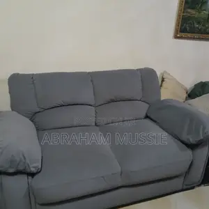 Blue Color Sofa