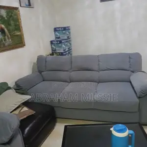 Blue Color Sofa