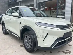 Photo - New BYD Yuan Up 2025 Green