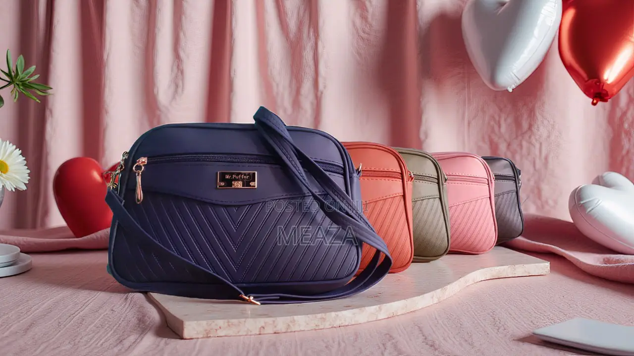 Ladies Bags / Female Bags